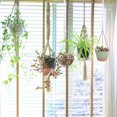 thumbnail image 1 of BESTYASH 3Ud Para Colgar Macramé Beige De Para Plantas Y Interior Exterior, 1 of 7