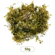 BKBP Artificial Moss for Indoor Craft Moss for Potted , Fresh Green Moss Forest Moss for Hamsters Micro-Landscape Terrariums Centerpieces Decor