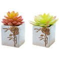 thumbnail image 1 of 2 uds flores falsas simulación suculentas bonsái plantas verdes artificiales adornos creativos, 1 of 5