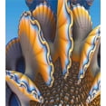 thumbnail image 3 of Nautical Duvet Cover Set, Shells in the Sea Ocean Sci Fi Style Featured Graphic, Decorative 3 Piece Bedding Set with 2 Pillow Shams, King Size, Blue and Apricot, by Ambesonne, 3 of 3