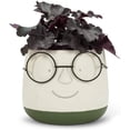 thumbnail image 2 of Abbott Collection Large Face Planter with Glasses-6" D, 2 of 2