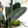 thumbnail image 7 of Vanity Art 36.22" H Artificial Phalaenopsis Orchids Floral Arrangement in Pot, 7 of 7