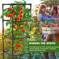 thumbnail image 3 of MQHUAYU 3-Pack 41.7'' Heavy-Duty Green Tomato Cages - Rust-Resistant Coated Steel Plant Supports with 20 Clips | Ideal for Climbing Vegetables, Flowers & Fruits, 3 of 8
