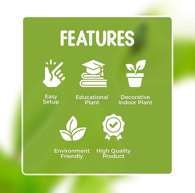 Venus Fly trap Live Plant in White Ceramic Pot with Venus Fly Trap Food – Bug-Eating Indoor Plant Kit with Sphagnum Moss – Carnivorous Houseplant for Kids & Adults