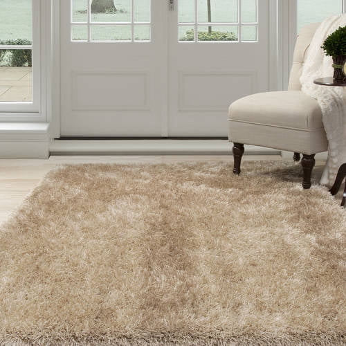 Somerset Home Shag Area Rug