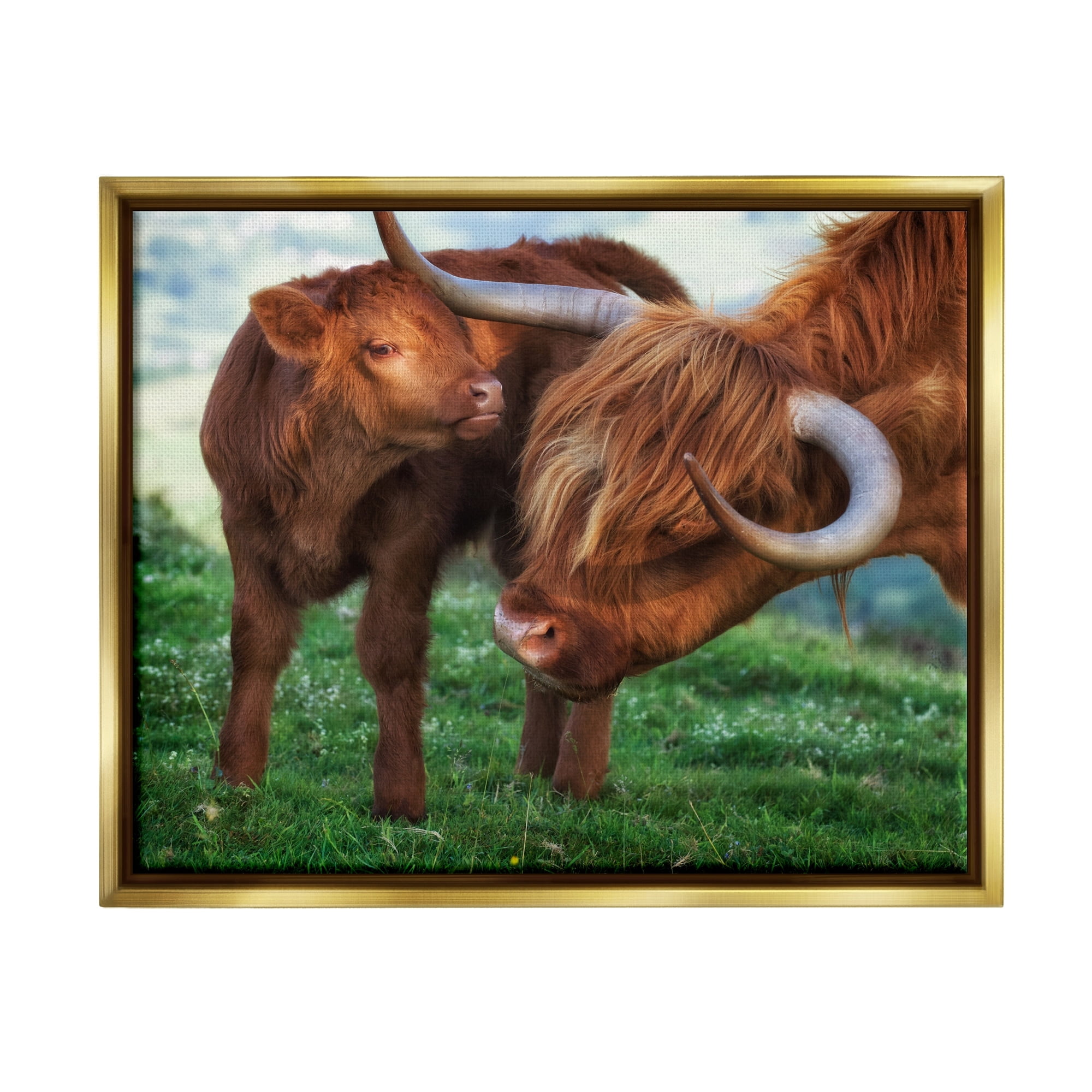 Stupell Industries Loving Longhorn Cattle Nuzzling Calf Heartwarming Animals Photograph Metallic Gold Floating Framed Canvas Print Wall Art, Design by James Dobson