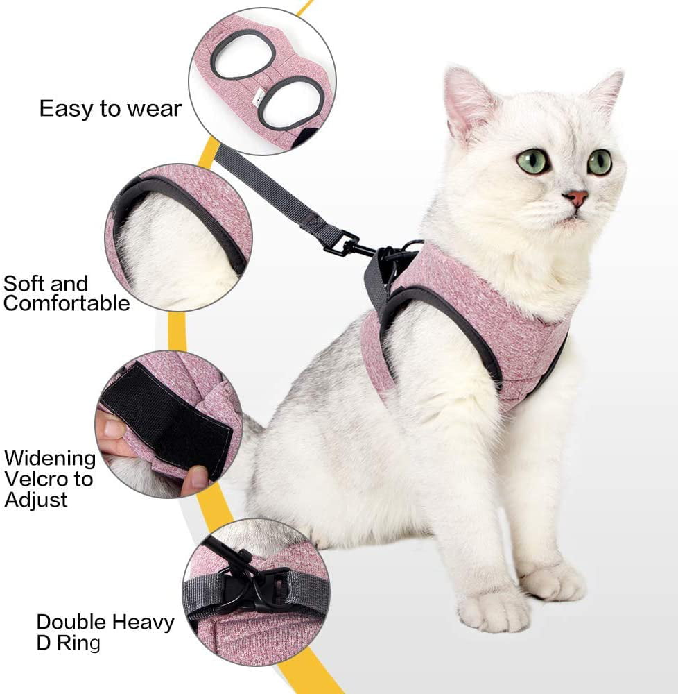 Cat Harness and Leash Set,Soft and Comfortable Cat Walking Jacket with Running Cushioning and Anti-Escape for Puppies with Cationic Fabric M, Orange