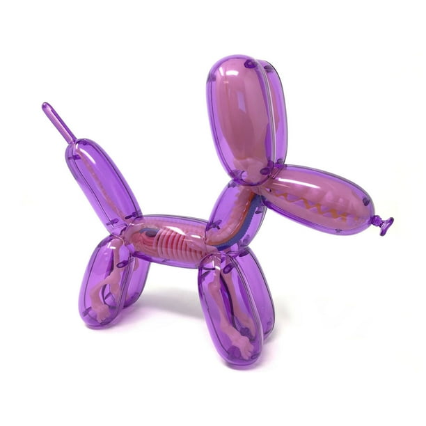 Fame Master - Small Balloon Dog - Orange - 4D Master - Mighty Jaxx - Jason  Freeny - Body Anatomy - XX Ray - Art Toys - Avvenice
