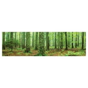 Rain Forest (Green Trees, Panorama) Laminated Poster (36.5 x 12.5)