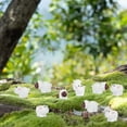 thumbnail image 5 of 50 Uds. De ovejas en miniatura, Mini jardín, rebaño de ovejas, microadornos para paisajismo, resina artesanal, decoración del hogar, animales, musgo, microhada, 5 of 5