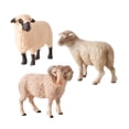 thumbnail image 2 of Conjunto de modelos de animales simulados, juguetes cognitivos, juguete educativo para regalo, hogar, niños Oveja, 2 of 8