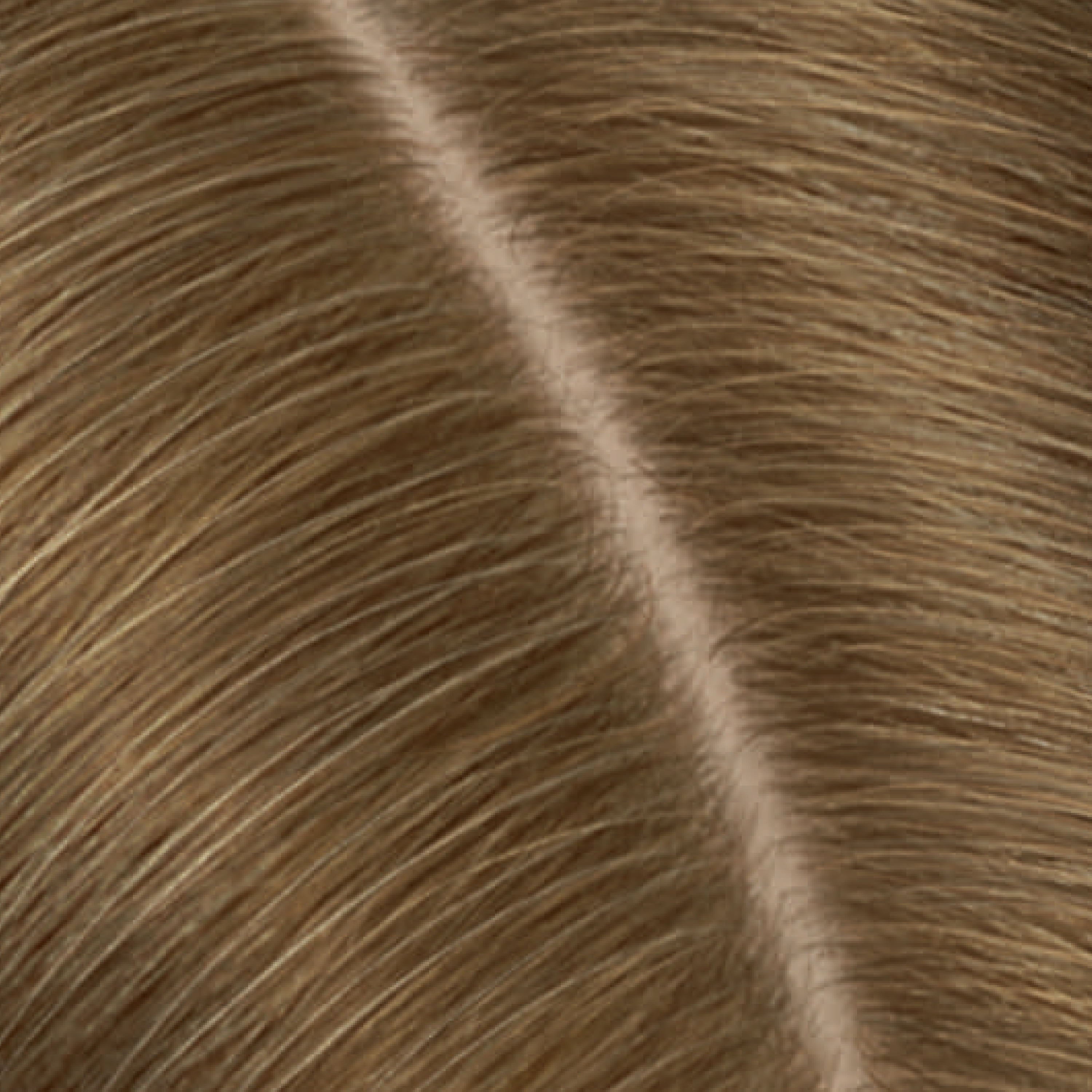 Clairol Root Touch-Up Natural Instincts Permanent Hair Dye, 7A Dark Blonde, Hair Color, 1 Kit