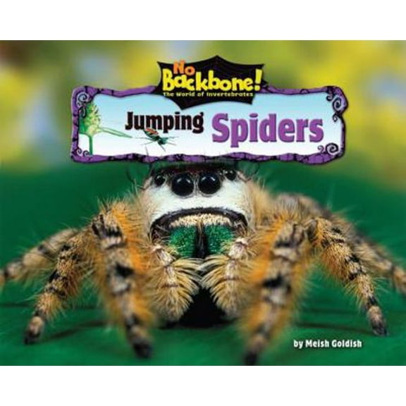 Pre-Owned Jumping Spiders (Library Binding) 1597167053 9781597167055