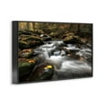 thumbnail image 3 of Stupell Industries Fallen Leaves on Stream Black Framed Giclee Art design by D. Burt, 12 x 18, 3 of 8