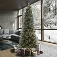 thumbnail image 6 of Vickerman 9' x 50" Frosted Douglas Fir Artificial Pre-Lit Christmas Tree, Warm White LED Mini Lights., 6 of 6