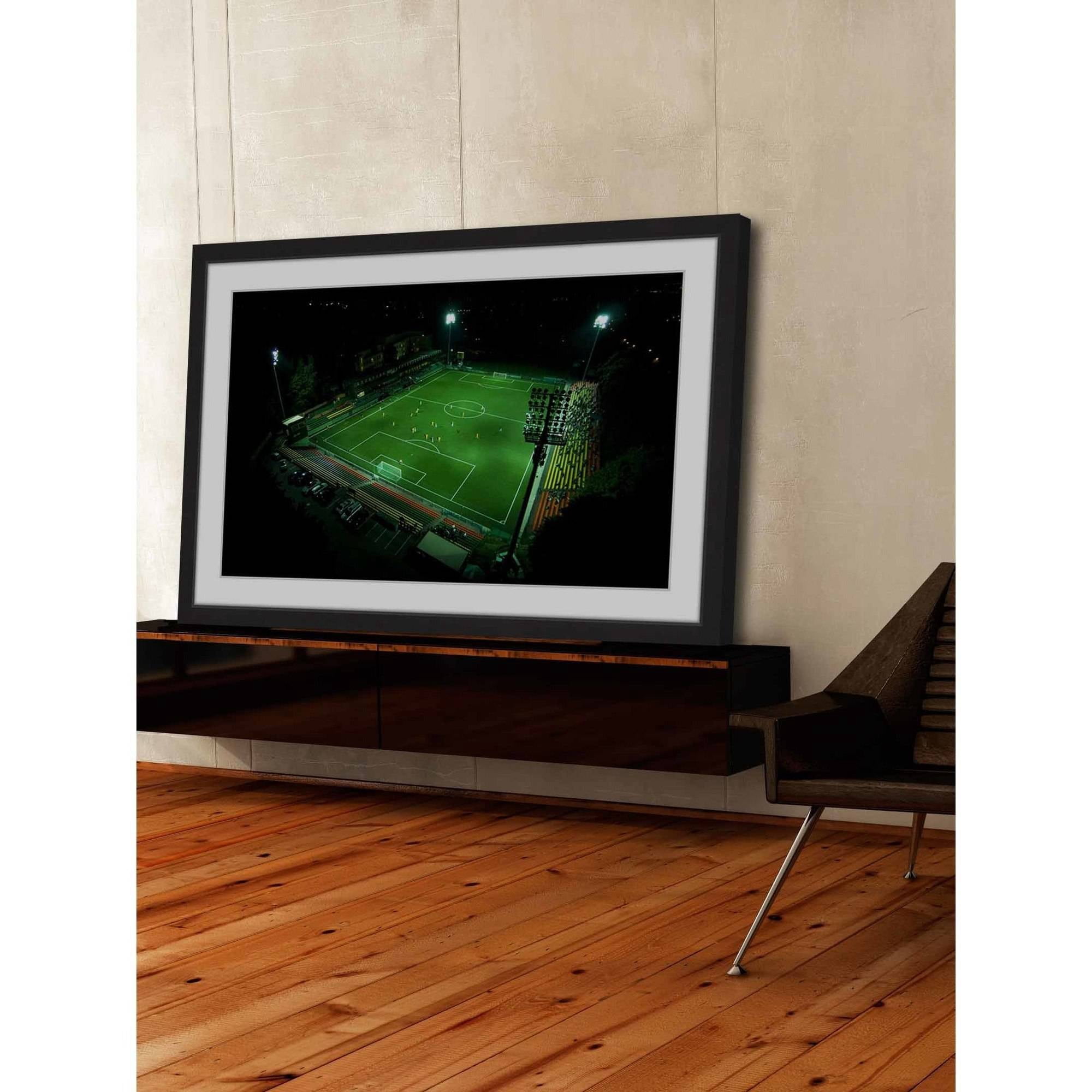 Marmont Hill "Soccer Field" By Karolis Janulis Framed Painting Art Print, 18.0" x 1.5"