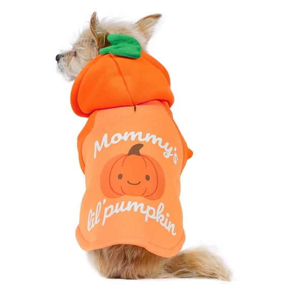 Vibrant Life Halloween Hoodie for Dogs and Cats, Mommy's Lil' Pumpkin, Orange, XS