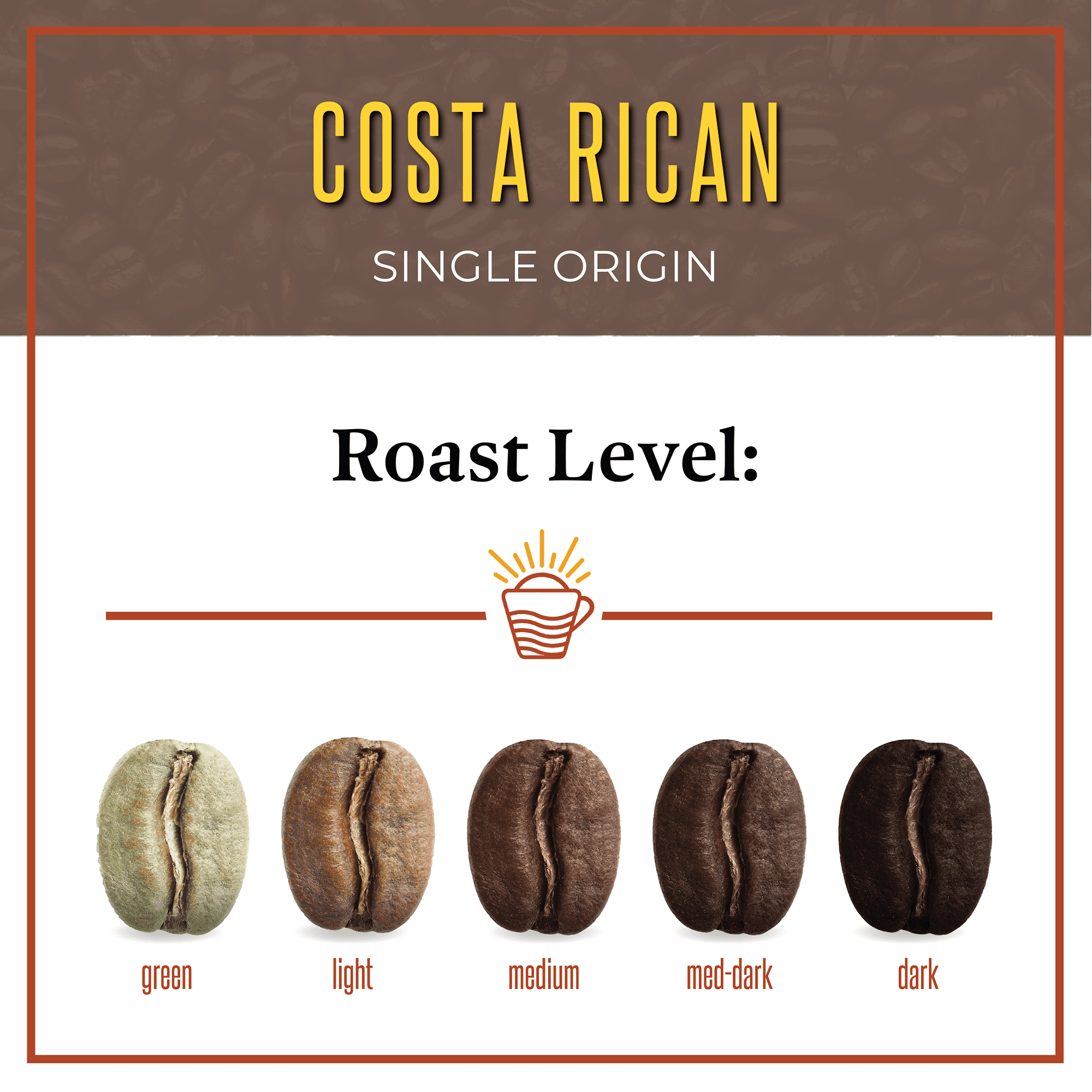 San Diego Coffee Costa Rican, Medium Roast, Whole Bean Coffee, 16-Ounce Bag