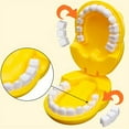thumbnail image 5 of Interactive And Fun Detachable Teeth Model For Children's Cognitive Toys, Doctor Toy Giraffe With Small Teeth Parts, 5 of 5