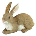 thumbnail image 2 of Design Toscano QM200861 Bashful the Bunny Lying Down Rabbit Outdoor Garden Statue, 10 Inch, Polyresin,full color, 2 of 5