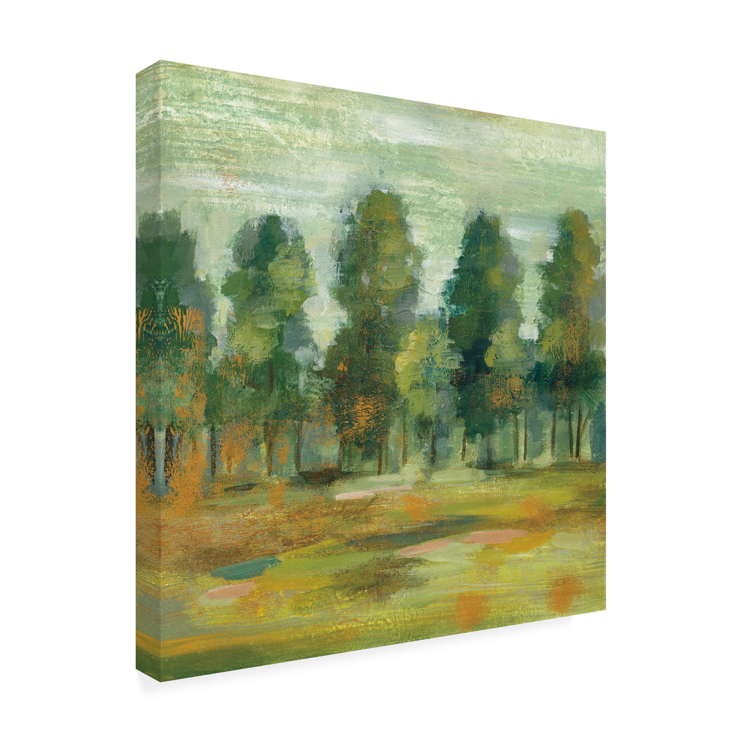 Trademark Fine Art 'Forest II' Canvas Art by Silvia Vassileva