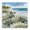 Baby Sea Turtles Beach Waves, variant on Stupell Industries Coastal Sandpipers Balancing On Beach Canvas Art, 17 x 17, by Susan Winget