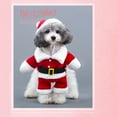 thumbnail image 2 of Labymos Disfraz de Papá Noel para perros,, 2 of 8