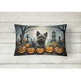 thumbnail image 3 of Carolines Treasures DAC2027PW1216 16 x 12 in. Unisex Cairn Terrier Spooky Halloween Fabric Decorative Pillow, 3 of 4