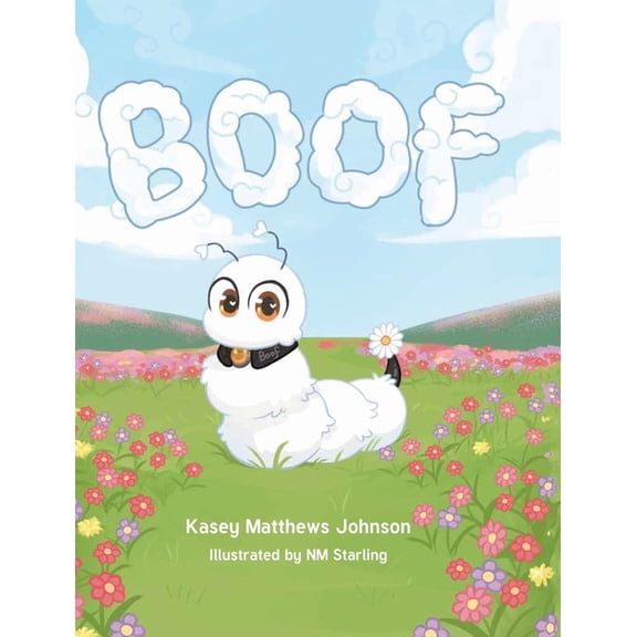 Boof, (Hardcover)
