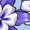 AE-Light Blue, variant on I Love Colorado Columbine Flowers Boys or Girls Baby T-Shirt