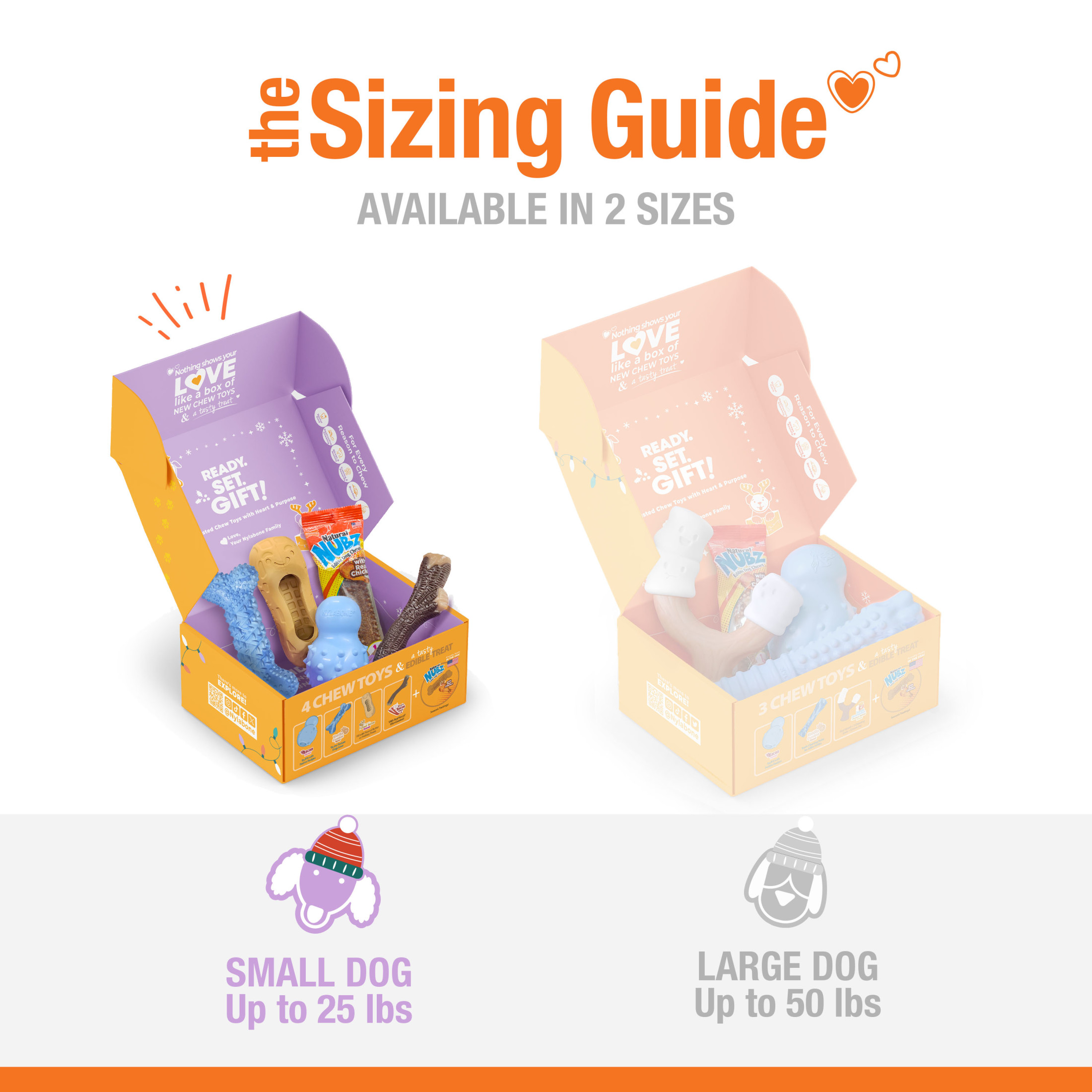 Nylabone Strong Chew Holiday Box - Small Chew Toys & Treat Gift Box Small (5 Count)
