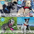 thumbnail image 6 of Gooby Escape Free Easy Fit Harness - Hot Pink, X-Small - Escape Free Step-In Harness with Neoprene Body for Small Dogs and Medium Dogs Indoor and Outdoor use, 6 of 6
