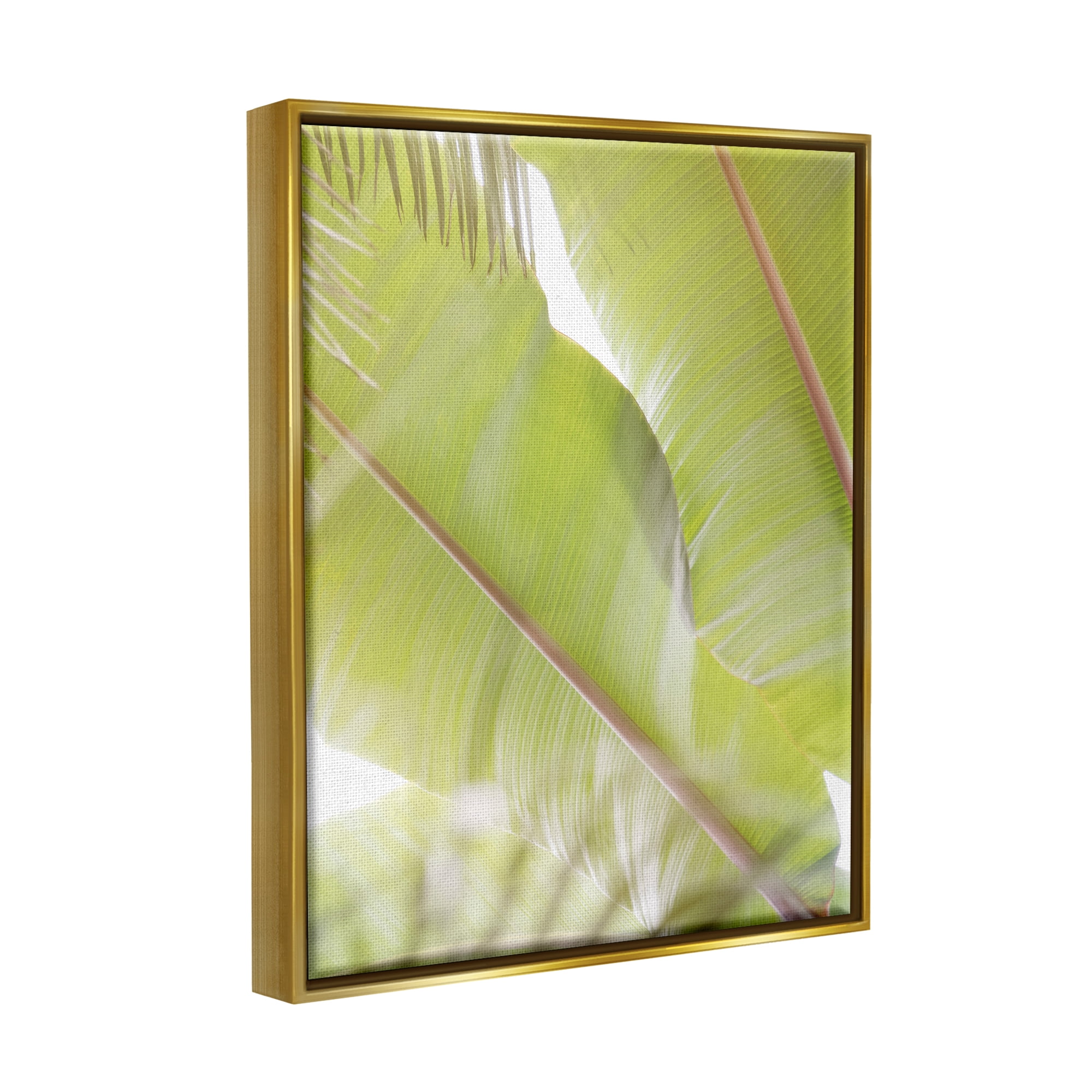 Stupell Tropical Palm Modern View Botanical & Floral Photography Gold Floater Framed Art Print Wall Art