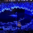 thumbnail image 3 of Leutsin LED Waterproof String Lights With Multi-flash Mode Holiday Decoration Party, 3 of 8