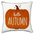 thumbnail image 1 of Way to Celebrate! Hello Autumn 2 Pack Decorative Pillows, 1 of 5