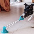thumbnail image 4 of Suction Cup Dog Toy, Pet Molar Bite Multifunction Interactive Durable Ropes Toy with Powerful Suction Cup, Aggressive Chew Pet Toys for Helps Clean Teeth, Tug and Chew, 4 of 9