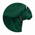 thumbnail image 2 of Women 2 Piece Outfits Sweatsuit Casual Long Sleeve Pullover and Shorts Sets Travel Tracksuit Green L, 2 of 4