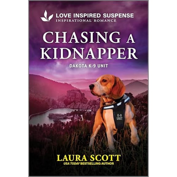 Pre-Owned Chasing a Kidnapper (Mass Market Paperback) 1335980490 9781335980496