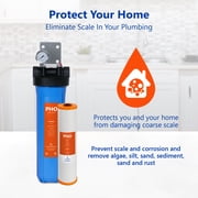 Express Water Anti Scale Whole House Water Filter – Home Water Filtration System – Polyphosphate Conditioner – includes Pressure Gauge, Easy Release, and 1” Inch Connections