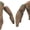 2pcs, variant on Esterze Project Haiil Plush Stuffed Animal, Ultra-soft Mary Plush Toys
