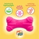 thumbnail image 3 of Hartz DuraPlay Juguete de Látex Chirriante para Perro en Forma de Hueso Paquete de 3 Tamaño Pequeño, 3 of 9