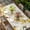 Beige, variant on Spring Floral Table Cloths for 5 Foot Rectangle Tables, Watercolor Forsythia Flowers Hummingbirds Beige Patio Waterproof Elastic Fitted Tablecloths, Washable Rectangular Table Cover for Camping