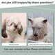 thumbnail image 3 of Grooming Tool Double-Sided Undercoat Rake for Dogs,Combs Brush, 3 of 5