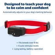 PetSafe Basic Bark Control Collar for Dogs + 8 lb., Automatic 6 Correction Levels, Waterproof