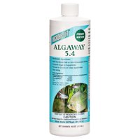 microbe lift pets walmart