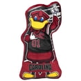 thumbnail image 2 of Bleacher Creatures South Carolina Gamecocks Cocky 24" Mascot Sideline Pal, 2 of 4