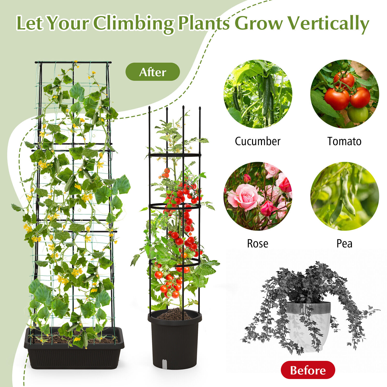 Amijoy 2-Pack Garden Trellis, 58.5" Tomato Cage & 71" Cucumber Trellis w/ Planter Box, Self-Priming Irrigation, Adjustable Height