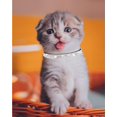 thumbnail image 3 of Mumup 1Pack Cat Collars for Girl Cats with Rhinestone Soft Velvet,Breakaway Cat Collars with Bell,Adjustable Safe Kitten Collar, 3 of 6