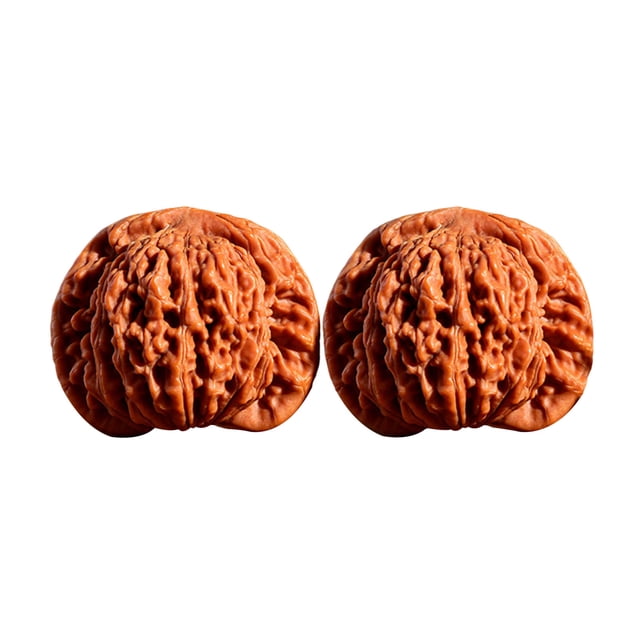 Hioecau 2Pcs Walnuts Relax Hand Massage Balls for Stress Relief And Blood Circulation Support Natural Wood Fidget Tool Enhances Focus Joint Health Sleep Memory Aid Gift