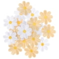 thumbnail image 4 of 20pcs Iron On Patches Daisy Applique Patches Clothes Badges Sewing Clothes Decals, 4 of 8